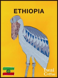 画像1: エチオピア中　イルガチェフェ ウォッシュ ゴラ【100g】