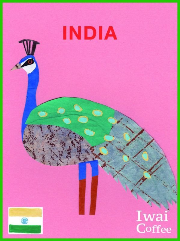 画像1: インド・グンゲギリ　ハニー　500g (1)