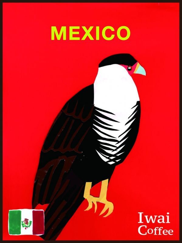 画像1: メキシコ【中深煎り】 サン・ホセ農園　(1kg) (1)