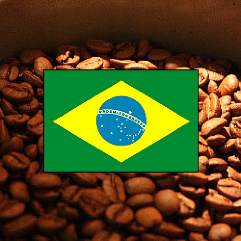 画像2: ブラジル中深　モンテアレグレ　アカイア　アナエロビック・イースト【1kg】 (2)