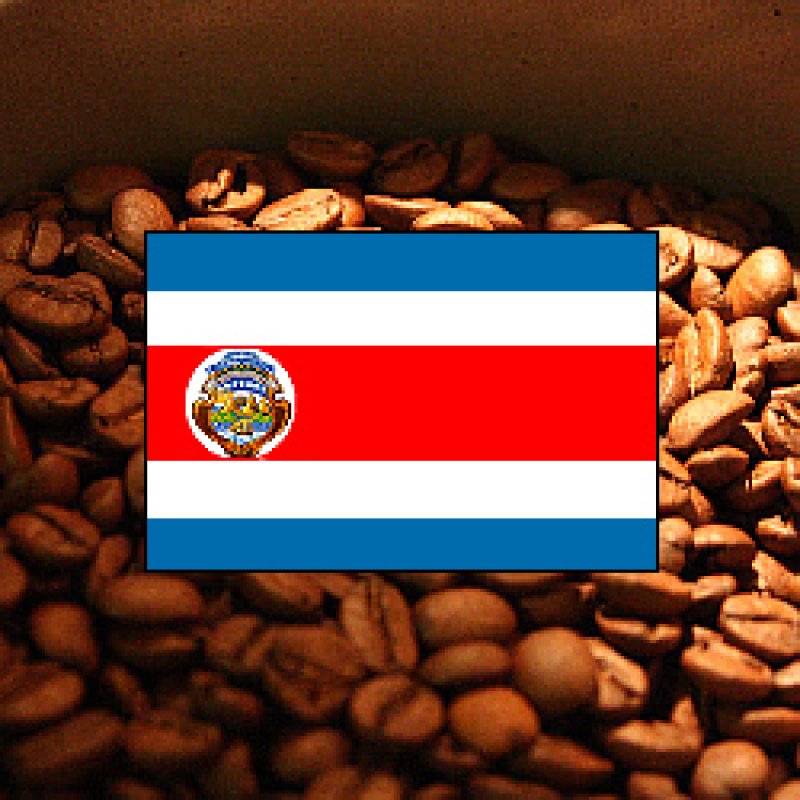 画像2: コスタリカ中深 サンタテレサ2000【1kg】 (2)