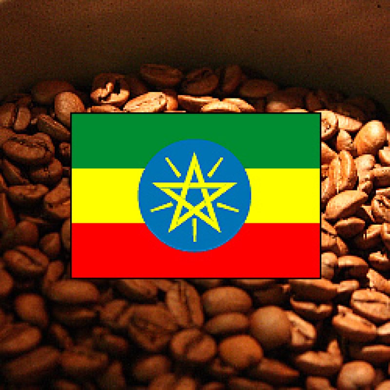 画像2: エチオピア中　イルガチェフェ アリチャ　ウォッシュ【500g】 (2)