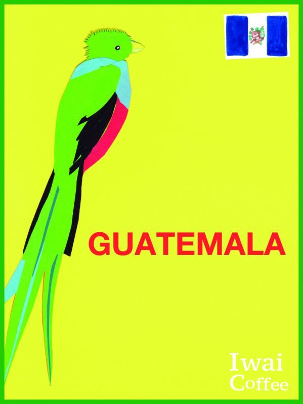 画像1: グアテマラ中　サン・クリストバル　ナチュラル【500g】
